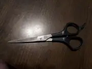 Vintage 6-3/4" Stainless Rostfrei W-germany Solingen Hair Scissor