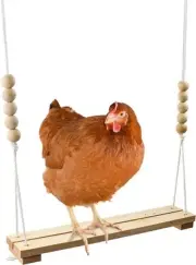 Chicken Swing Toy for Coop Handmade in USA!!! Natural Safe Wooden Accessories
