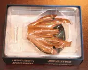 Eaglemoss Star Trek Starships Collection - Nausicaan Fighter New No Mag