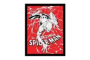 Spider-Man Spider Web Framed Poster (Red/White/Black) (40cm x 30cm)