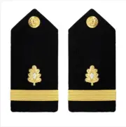 GENUINE U.S. NAVY SHOULDER BOARD: ENSIGN MEDICAL CORPS - FEMALE