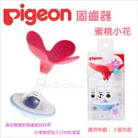 在飛比找蝦皮購物優惠-現貨 日本 Pigeon 貝親 - 咬牙器 固齒器 蜜桃小花