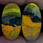 Natural BumbleBee Jasper Matched Pair 32.00 Cts. Cabochon Gemstone For Pendant