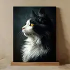 Framed Canvas Tuxedo Cat Vibrant Orange Eyes Wall Art - Perfect for Living Room