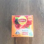 荷蘭製 LIPTON FOREST FRUIT FRUITS TEA 20BAGS 森林的果實 水果茶 果粒茶 新品