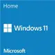 Microsoft 微軟 Windows 11 家用中文 64位元隨機版《含DVD》