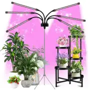 Grow Lights for Indoor Plants, LED Grow Light Stand, Red White Full Spectrum ...