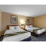 Quality Inn & Suites Wellington – Fort Collins