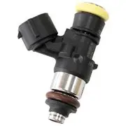 Aeroflow Bosch 2200CC Cng Fuel InjectorEV14 Short Denso 0280158821 - AF49-1910