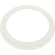 Washer, Pentair Kreepy Krauly Cleaner, 1994-1999, Bearing
