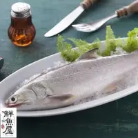 在飛比找森森購物網優惠-鮮魚屋 現撈急凍台灣肥美午仔魚*8條