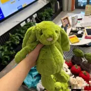 Jelly Cat Green Bunny Plush - 18CM Spring Floral Toy NEW With Tag/Bag