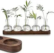 FUNNTY Desktop Plant Propagation,with Wooden Stand Glass Vase Hydroponic Planter Gifts Terrarium for Plant Lovers Indoor Home Garden Office Decoration (5 Glass Vase &1 Tray Display)