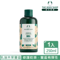 在飛比找momo購物網優惠-【THE BODY SHOP 美體小舖】乳油木果豐盈洗髮精(