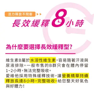 Lovita愛維他 女性長效緩釋型B群 素食30錠