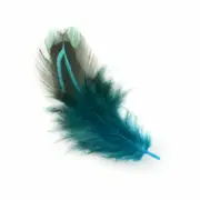 Aqua Blue 50pcs Natural Colour Pheasant Feathers 5-8cm DIY Wedding Craft Party Decorations