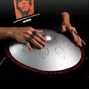 Steel tongue drum 14 inch 9 note D minor handpan percussion instrument hand drum