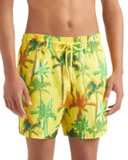 Vilebrequin Palms Offset Ultralight & Packable 5.5 Swim Trunks Small