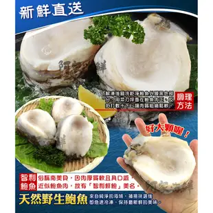 【阿家海鮮】生凍智利大鮑魚180g±10%/單顆(4/6規格)