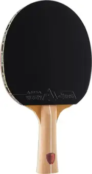 JOOLA Omega Control - Tournament Performance Ping Pong Paddle - Table Tennis ...