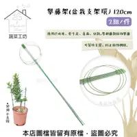 在飛比找PChome24h購物優惠-【蔬菜工坊】攀藤架(盆栽支架環)120公分 2組/件 爬藤架