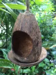 Ceylon Natural Coconut Shell Bird Nest Finch Hanging Rope Cage Toys Swing House