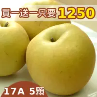 在飛比找台灣好農優惠-東勢謝大哥新興梨 17A 5顆裝 買一送一