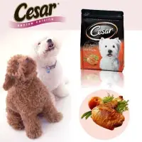 在飛比找Yahoo!奇摩拍賣優惠-【🐱🐶培菓寵物48H出貨🐰🐹】Cesar 西莎系列《火雞肉/