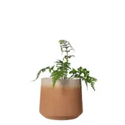 Sill & Sage Horizon Latte Colour Indoor/Outdoor Pots Home Decor Small 12cm