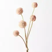 Artificial Australian Native Craspedia Billy Button Bundle Flower - Light Pink