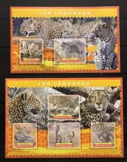 Leopard / Leopardo / Lampart / Animals / Panther / Fauna / Nature - CTO - P2