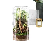 Jumping Spider Enclosure | Acrylic Praying Mantis Terrarium | Waterproof Reptile Enclosure with Front Opening Door for Tarantula, Frogs, Praying Mantis, Snails