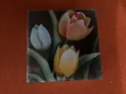 1157B TULIP CAPIZ SHELL TRINKET BOX