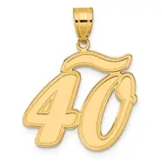 14k Yellow Gold Brushed Border Script Number 40 Pendant