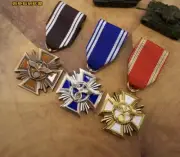 WWII German Party Constitution Medals