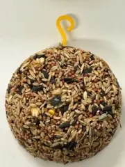 12pce Bird Wild Bird Parrot lollypop seed hanging treat bird Coarse SEED