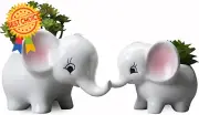 2Pcs Elephant Cactus Planters, Ceramic Succulent Pots for Desktop Home Office