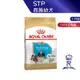 【ROYAL CANIN 法國皇家】 西施幼犬專用乾糧(STP_1.5kg)｜皇家粉絲團 西施犬飼料 幼犬飼料 狗飼料