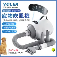 在飛比找蝦皮商城精選優惠-【VOLER沃爾】寵物吹水機 吹風機  LED智能觸屏精準控