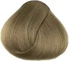 3x Vitafive CPR Creme Colour- 8.1 Light Ash Blonde