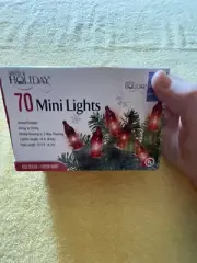Simply Holiday 70 Mini Lights 15.5 Ft. Indoor/Outdoor - Red Bulbs/Green Wire NIB