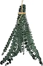 10 Pcs Shower Eucalyptus Hanging Shower Eucalyptus Hanging Real Dried Eucalyptus Shower Bundles Bathroom Real Eucalyptus Eucalyptus Branches