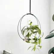 Home Office Plant Display Corner Room Holder Wooden Base Hanging Stand