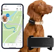 Tractive GPS Dog Tracker | Market Leader | Real-time Location Tracking | Esca...