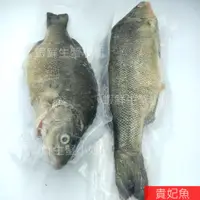 在飛比找蝦皮商城精選優惠-【海鮮7-11】貴妃魚   600-700g/隻 *肉質細滑