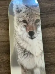 J.R. Hess WOLF NATURE SERIES Zero Skateboards ONLY 30 MADE colored pencil