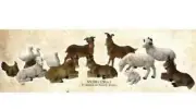 Nativity Set Animals Villagers 6in Sz Goat Duck Cow Donkey 12pc 12-18 Scale
