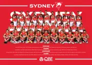 SYDNEY SWANS AFL TEAM POSTER, FOOTBALL,DEMONS BULLDOGS CATS CROWS PIES POWER 1