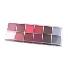 Face Body Paint 12 Grids Make up Palette Washable Face Paint Pigment for Holiday