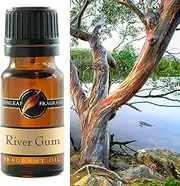 Gumleaf Fragrance River Gum Fragrant Oil - 10ml, Cruelty Free & Vegan, Phthalate-Free Fragrance